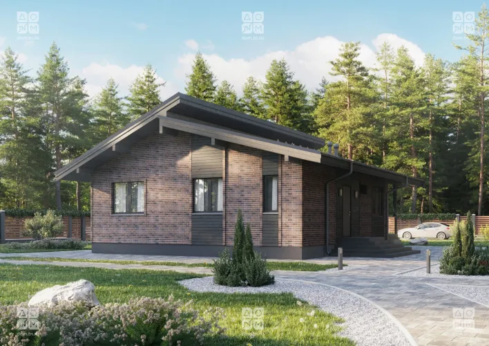 Проект пикассо мини фото 2