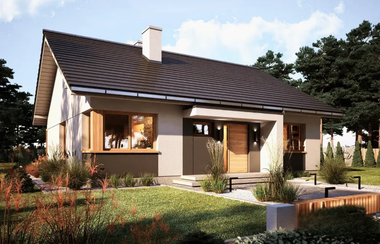 Проект Сальвадор (ГБ-S-02) фото 2