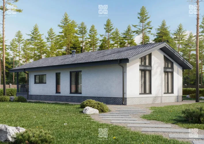 Проект гоген фото 2