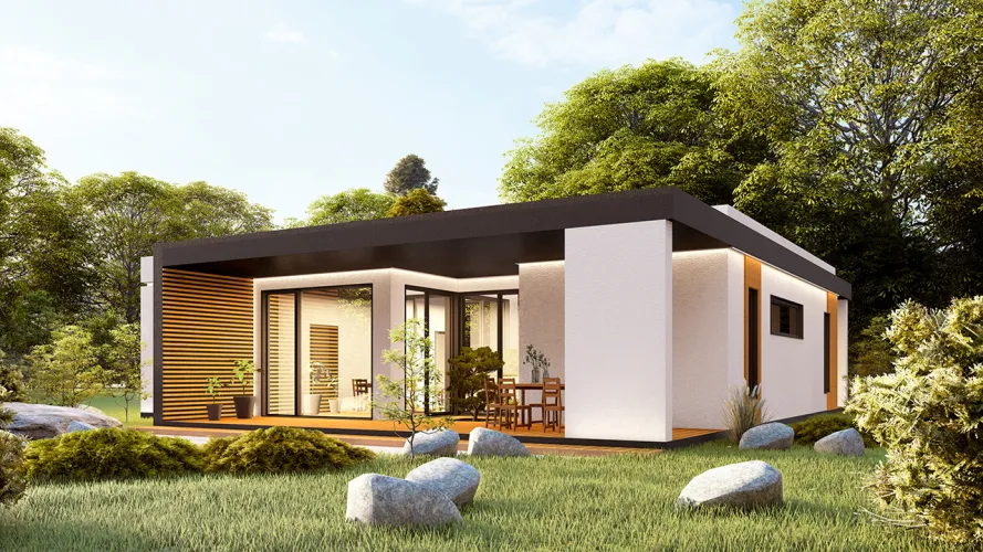 Проект Дели (ГБ-М-11) фото 3