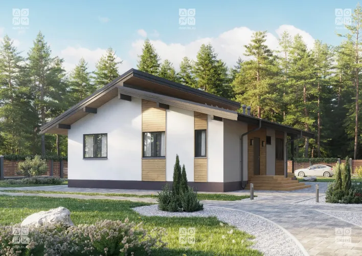 Проект пикассо мини фото 4