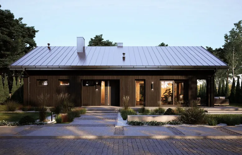 Проект Вернамо (ГБ-М-21) фото 4