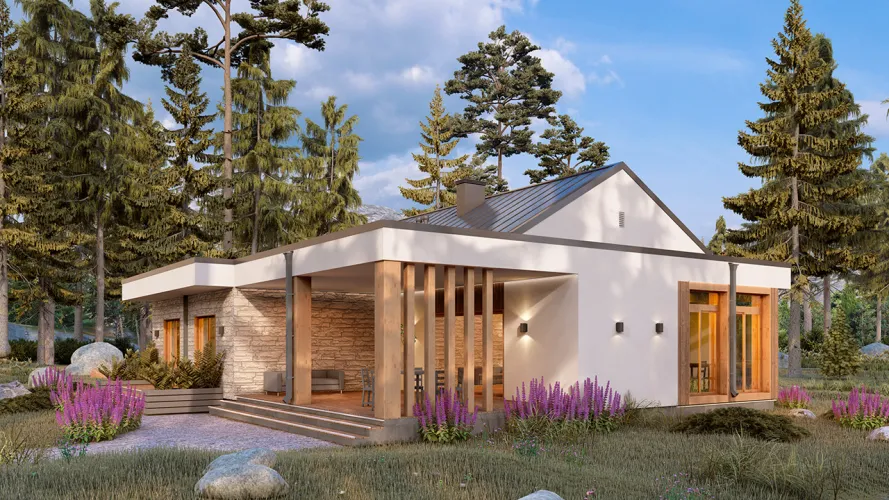 Проект Питер (ГБ-М-30) фото 2